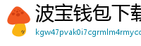 波宝钱包下载